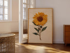 Gepresster Sonnenblumendruck Vintage Botanische Wandkunst Trockenblume Poster Gelbe Blumenkunst