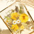 Gepresster Blumenrahmen, Doppelglas, Messingrahmen, 17,5x12,7 cm, botanische Kunstcollage
