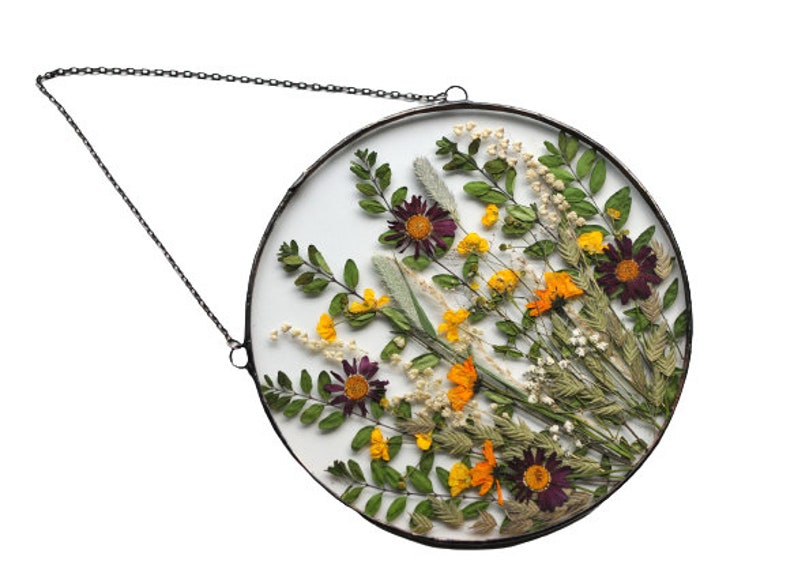 Runde gepresste Blumen Glaswandkunst - Botanischer schwebender Rahmen mit echten getrockneten Blumen - Wohndekor, 22 cm