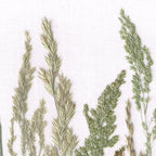 Getrocknete Graskunst im Rahmen 20x30 cm – Handgepresste Blumen und Pflanzen Oshibana-Dekoration
