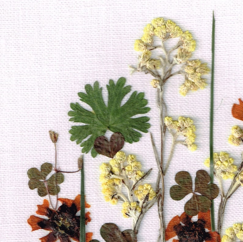 Gepresster Blumenrahmen mit echten Blumen, Trockenblumenarrangement im Holzrahmen (20x30cm)