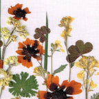 Gepresster Blumenrahmen mit echten Blumen, Trockenblumenarrangement im Holzrahmen (20x30cm)