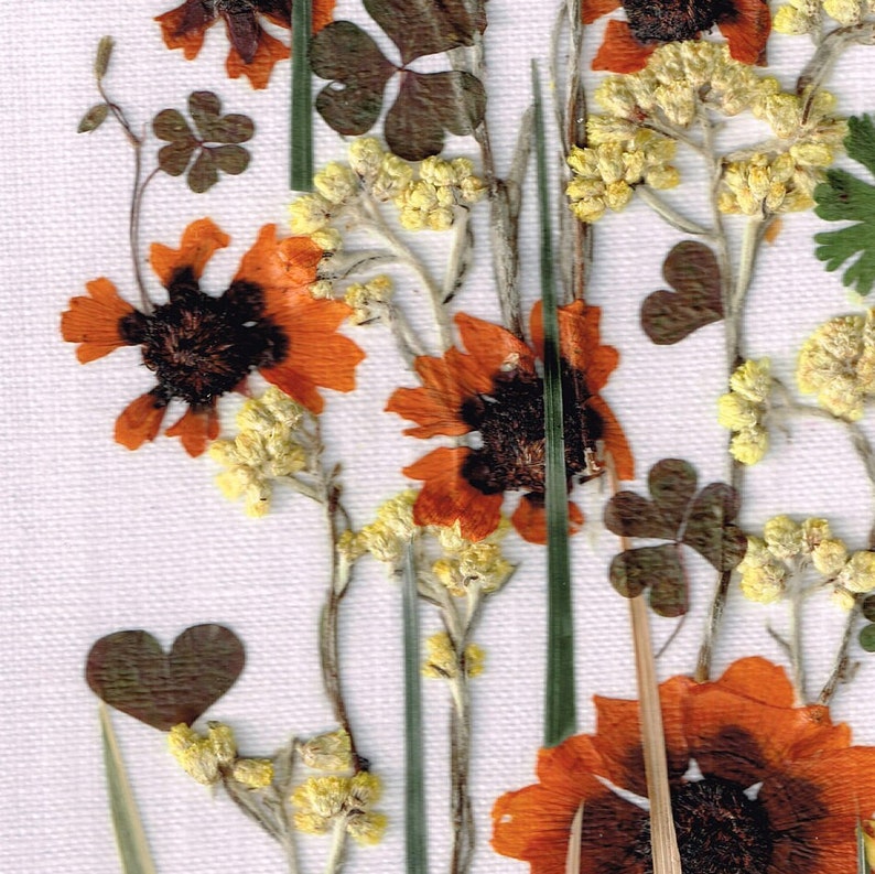 Gepresster Blumenrahmen mit echten Blumen, Trockenblumenarrangement im Holzrahmen (20x30cm)