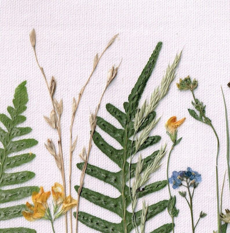 30x20 cm Gepresste Wildblumen Bilderrahmen - Getrocknete Botanische Wandkunst für Cottagecore