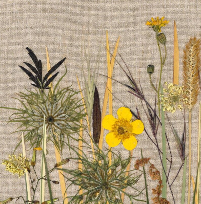Handgefertigter botanischer Rahmen mit echten gepressten Blumen, Boho-Wanddekoration, 20x30cm