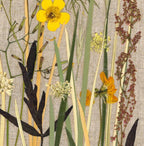 Handgefertigter botanischer Rahmen mit echten gepressten Blumen, Boho-Wanddekoration, 20x30cm