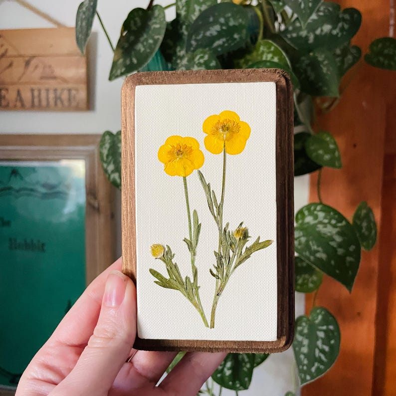 Gepresste Butterblume Blumenwandkunst - Botanische ovale Leinwandbehang 5x18 Zoll