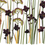 Getrocknetes Blumenarrangement im Holzrahmen 20x30cm – Echte Blumenkunst Wohndekoration