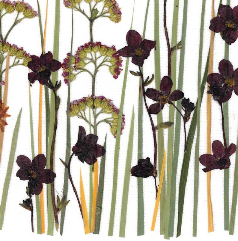 Getrocknetes Blumenarrangement im Holzrahmen 20x30cm – Echte Blumenkunst Wohndekoration