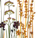 Getrocknetes Blumenarrangement im Holzrahmen 20x30cm – Echte Blumenkunst Wohndekoration