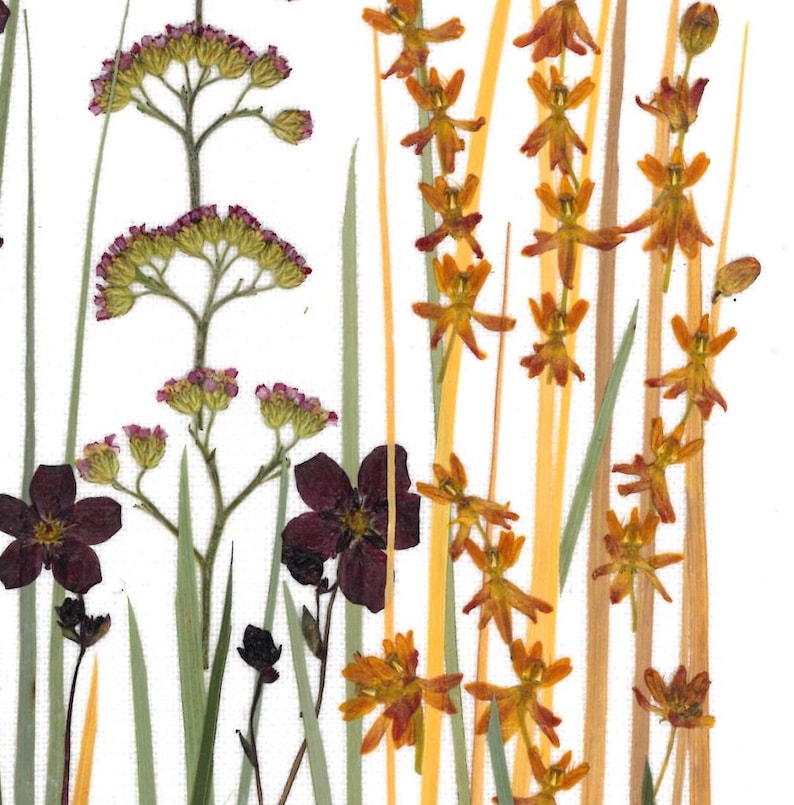 Getrocknetes Blumenarrangement im Holzrahmen 20x30cm – Echte Blumenkunst Wohndekoration