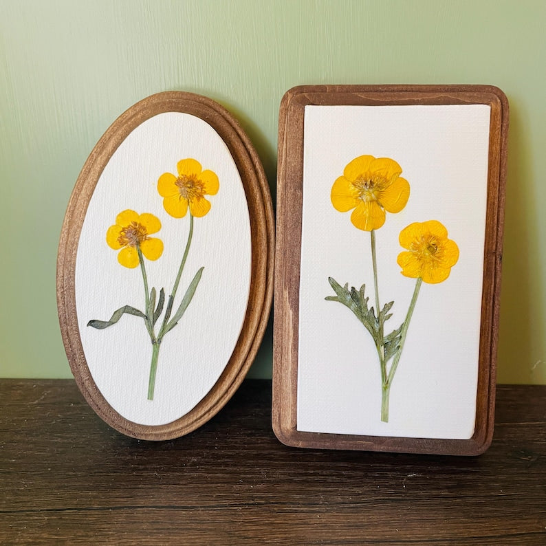 Gepresste Butterblume Blumenwandkunst - Botanische ovale Leinwandbehang 5x18 Zoll