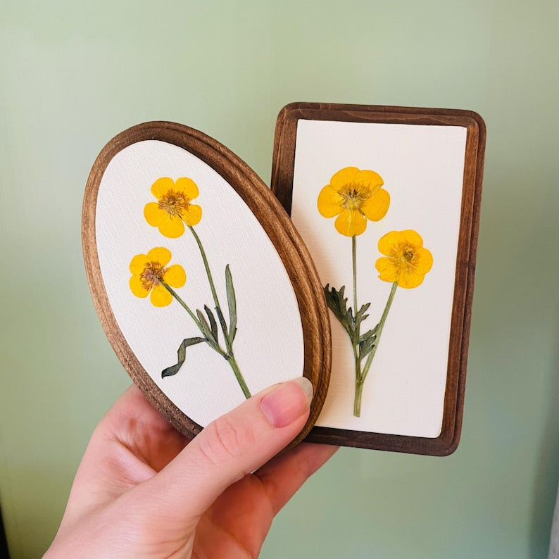 Gepresste Butterblume Blumenwandkunst - Botanische ovale Leinwandbehang 5x18 Zoll