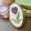 Gepresste Viola Blumen Kunst Oval Botanische Wandbehang 3x12cm