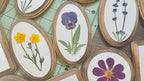Gepresste Viola Blumen Kunst Oval Botanische Wandbehang 3x12cm