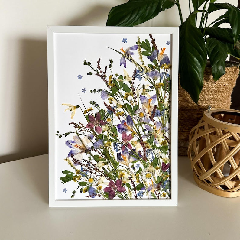 Echte Krokusse Wiese Wandbehang Dekor, gepresste Blumen Wohnkultur gerahmt, A4 21x30 cm