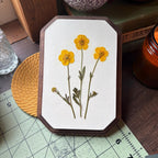 Gepresste Butterblume Blumenwandkunst - Botanische ovale Leinwandbehang 5x18 Zoll