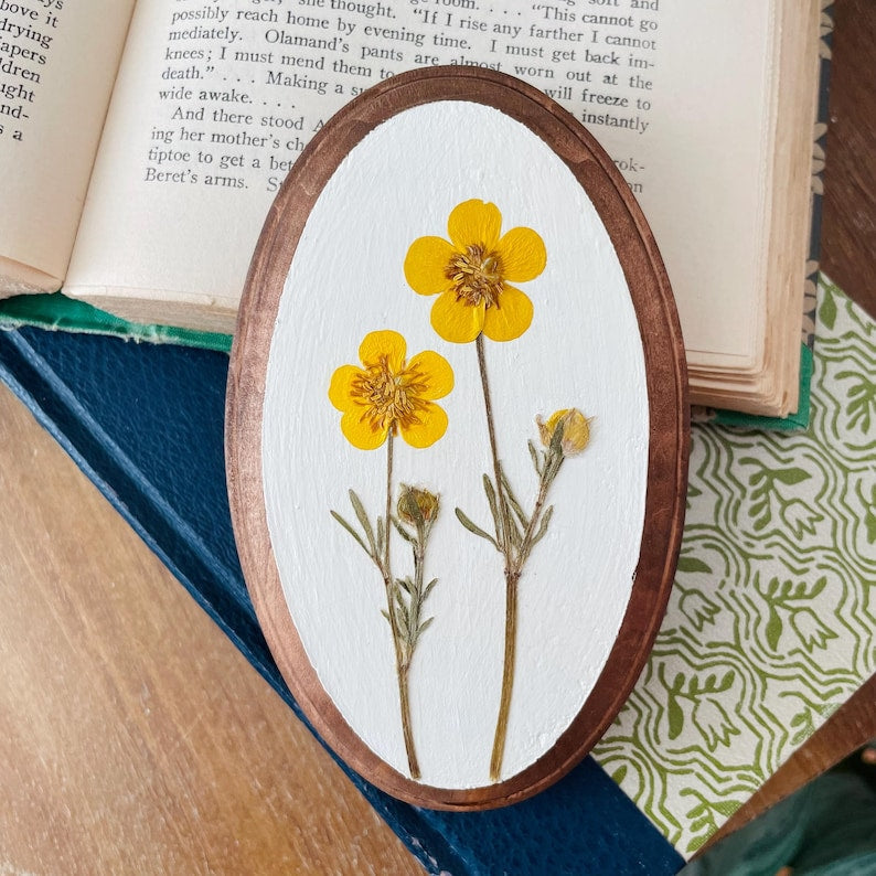Gepresste Butterblume Blumenwandkunst - Botanische ovale Leinwandbehang 5x18 Zoll