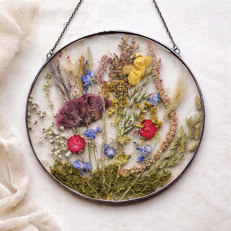 Getrocknete Blumen Glasrahmen Rund 22 cm - Botanische Wandkunst Gepresste Blumen