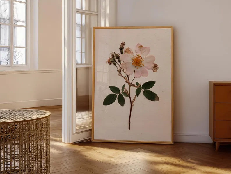 Rosa Gepresste Blumenkunst Wild Rose Botanischer Druck Vintage Herbar Poster